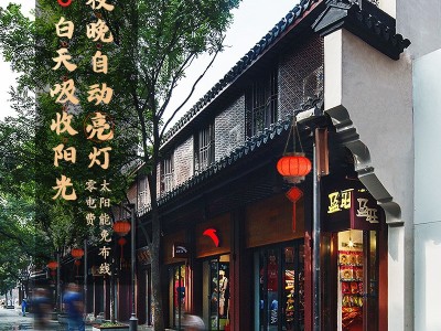 复古中式灯笼吊灯户外防水仿古灯装饰太阳能LED灯中国风新年灯笼图2