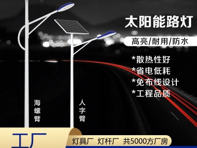 中山厂家现货批发6米太阳能路灯30W8m100瓦农村户外太阳能LED路灯图1