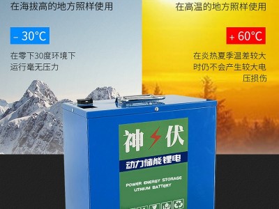 大容量户外储能移动12V太阳能锂电池 磷酸铁锂光伏储能电池组图4