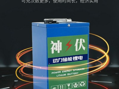 大容量户外储能移动12V太阳能锂电池 磷酸铁锂光伏储能电池组图5
