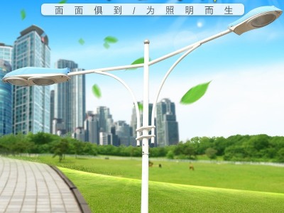 厂家批发双臂路灯杆 户外照明热镀锌双臂路灯杆小区广场现货供应图1