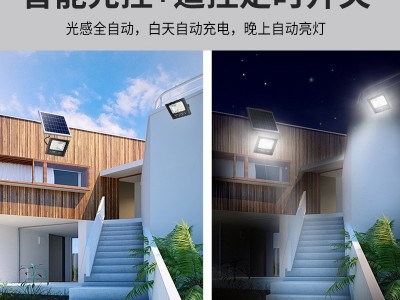 太阳能投光灯一拖二太阳能灯LED超亮庭院泛光灯乡村户外防水照明图3