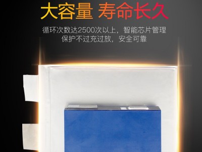 蓝逆 12v伏100ah安锂电池大容量户外超轻三元聚合物磷酸铁锂电瓶图4
