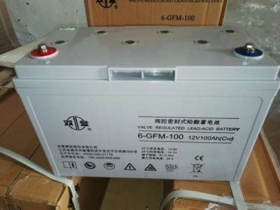 铅碳蓄电池12V65AH 双登铅酸免维护蓄电池 设计寿命15年图3