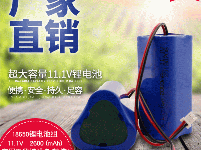 11.1V12V18650锂电池组监控设备/航模/筋膜枪/播放器电池带保护板图2