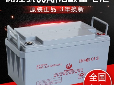 原装蓄电池全新宏哲ups电源电池6GFM-65AH太阳能蓄电池3年质保图1