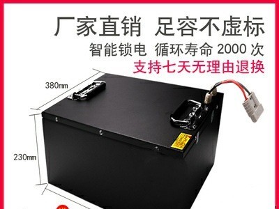 工厂批发48V10A 60V12A 70V20A90V100A电动车房车轮船锂电池图5