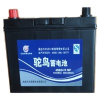 驼鸟蓄电池46B24R 12v45a 厂家批发 电动车电瓶 可充电电池