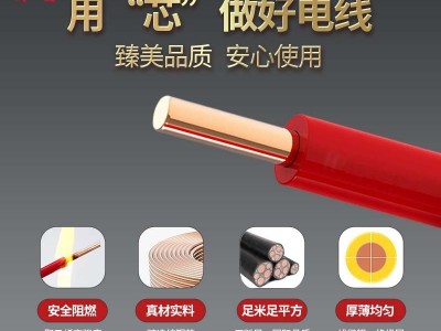 彩兰电线电缆WDZ-YJY国标纯铜低烟无卤电缆电力电缆 阻燃电缆图4