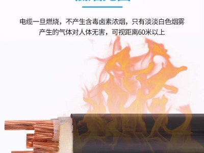 彩兰电线电缆WDZ-YJY国标纯铜低烟无卤电缆电力电缆 阻燃电缆图2