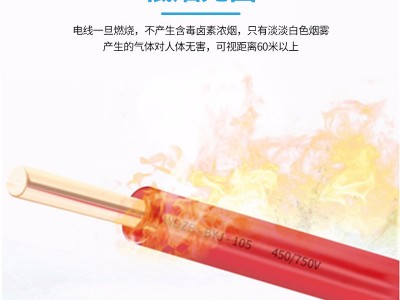 彩兰电线电缆 WDZ-BYJ低烟无卤铜芯电线1.5-10平方 电缆线批发图5