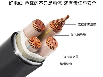 彩兰电线电缆YJV-22国标铠装铜芯电缆1/2/3/4/5芯 铠装电缆线批发图4