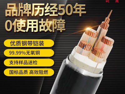 彩兰电线电缆YJV-22国标铠装铜芯电缆1/2/3/4/5芯 铠装电缆线批发图1