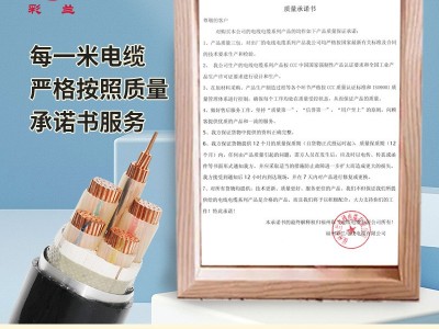 彩兰电线电缆YJV-22国标铠装铜芯电缆1/2/3/4/5芯 铠装电缆线批发图3