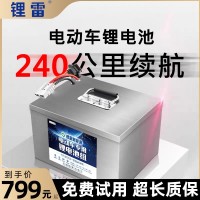 锂电池 电动车电池续航时间长外卖跑单款电池磷酸锂铁大单体电池