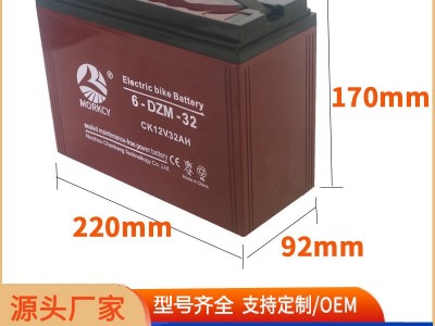 电动车动力12V20AH电瓶48V14AH音响GEL免维护AGM胶体32AH 蓄电池图4