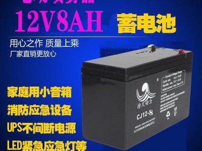 12V8AH电动喷雾器电池安防蓄电池12V消防主机UPS音响照明门禁电瓶图4