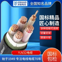 家庭照明设备铜芯电缆线软护套电线低压YJV22 2*16 电力工程电线