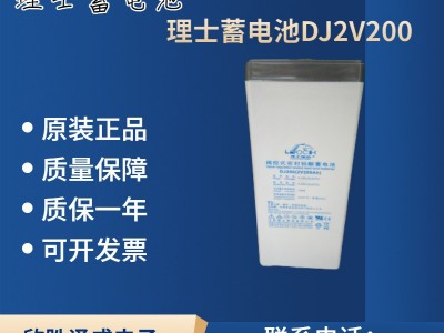 理士蓄电池DJ200 2V200AH 通信基站直流屏 阀控式密封铅酸蓄电池 1只图2