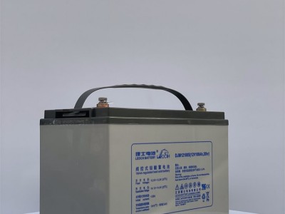 理士DJM12100S蓄电池12V100AH铅酸免维护/通信/消防UPS直流 屏电源  1只图2