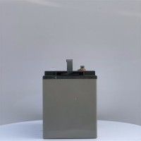 理士DJM12100S蓄电池12V100AH铅酸免维护/通信/消防UPS直流 屏电源  1只