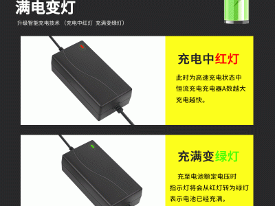 现货8.4V3A锂电池充电器2串18650锂电池组7.4V筋膜枪聚合物充电器图4