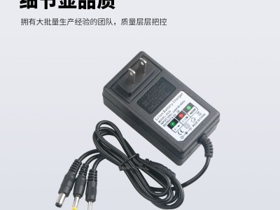 4.2v8.4V12.6V14.6V16.8V21v1A一拖3个接口圆头18650锂电 池充电器图2