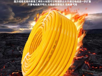 防冻防水电源线国标2.5 4 1.5平方二芯电线电缆线护套线家用软线图4