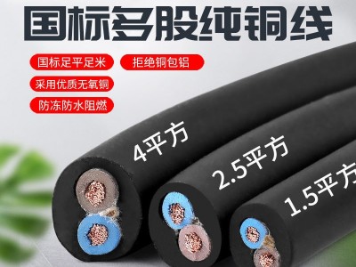 2芯国标电缆线2.5平方纯铜电线RVV两芯家用软线1.5平4平方护套线图1