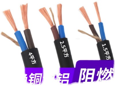 2芯国标电缆线2.5平方纯铜电线RVV两芯家用软线1.5平4平方护套线图5