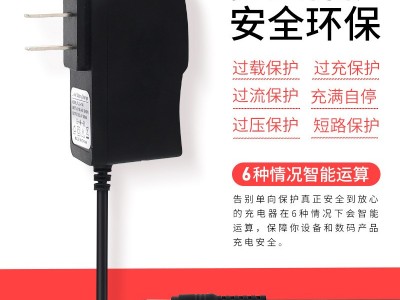 壹泉8.4V1A2A锂电池组充电器恒压输出双色变灯手电筒筋膜机充电器图4