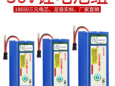 厂家直销36V20AH锂电池大容量滑板车折叠外卖代驾电动车锂电池组图1