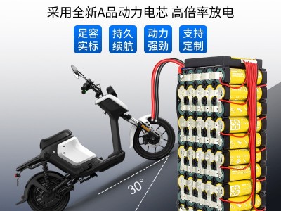 批12V24V36V48V伏大容量外卖滑板折叠电动车轮椅太阳能灯锂电池组图2