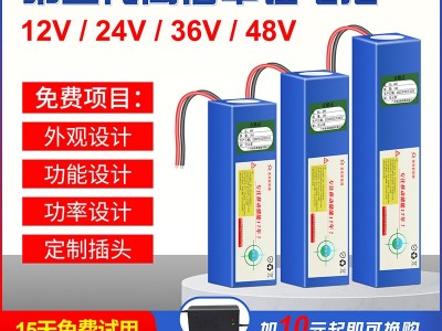 批12V24V36V48V伏大容量外卖滑板折叠电动车轮椅太阳能灯锂电池组图1