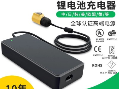 12.6V5A 29.4V2A 电动自行车电动滑板车充电器电动车锂 电池充电器图5
