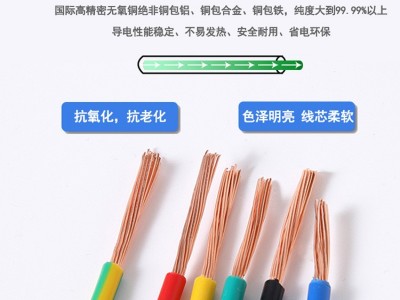 广东珠江 多股纯铜芯bvr线 1.5 2.5 4 6平方 阻燃护套电线批发图2