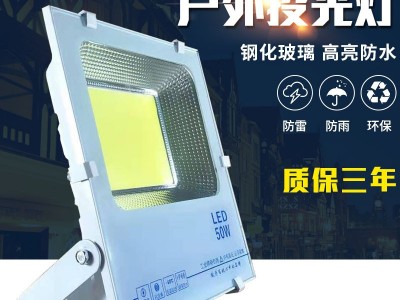跨境5054投光灯带电源驱动泛光灯黑白金刚投光灯广告灯球场广场灯图2