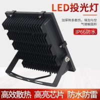 led投光灯足功率黑金刚泛光灯室户外防水广告射灯球操场300w 110V