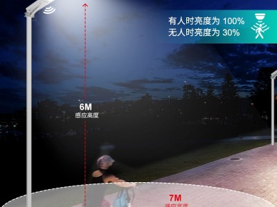 新农村一体化太阳能路灯6米工程款户外庭院灯人体感应路灯头厂家图3