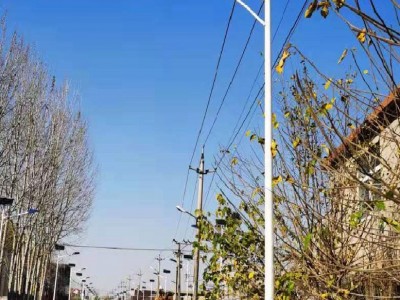 厂家批发太阳能LED路灯新农村山区道路灯6米10米工程款太阳能路灯图3