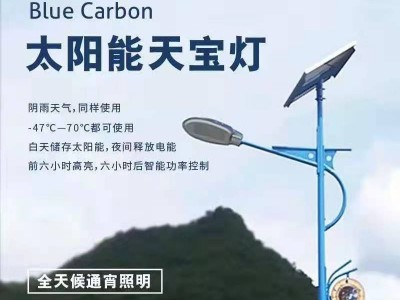 厂家批发太阳能LED路灯新农村山区道路灯6米10米工程款太阳能路灯图1