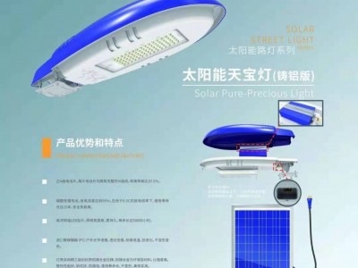 厂家批发太阳能LED路灯新农村山区道路灯6米10米工程款太阳能路灯图5