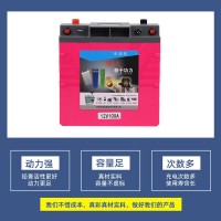 磷酸铁锂电池逆变器房车电瓶光伏板电信基站储能12V100Ah锂电池