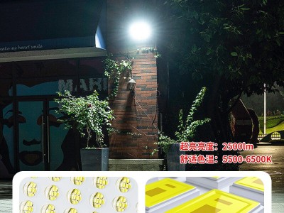 太阳能投光灯户外庭院灯一拖二大功率新农村超亮防雨室内LED路灯图3