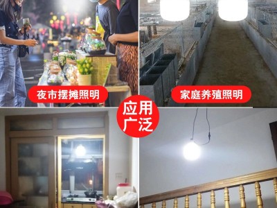 太阳能室内灯泡家用照明户外停电应急天黑自动亮遥控阳台卧室球泡图3