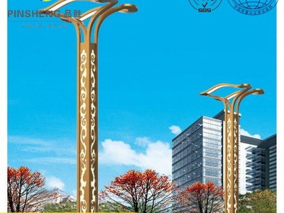 厂家供应市政工程LED路灯户外照明商场中华灯路灯玉兰灯图4