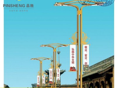 厂家供应市政工程LED路灯户外照明商场中华灯路灯玉兰灯图3