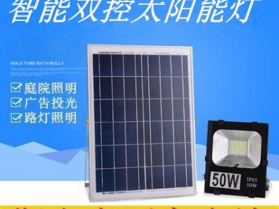 led太阳能灯新农村户外100W家用室内外大功率庭院灯乡村照明路灯图2