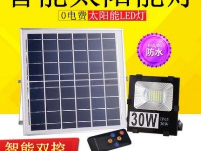 led太阳能灯新农村户外100W家用室内外大功率庭院灯乡村照明路灯图1