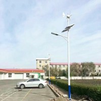 厂家直销 6米 40W 一体化LED风光互补太阳能灯 户外道路照明